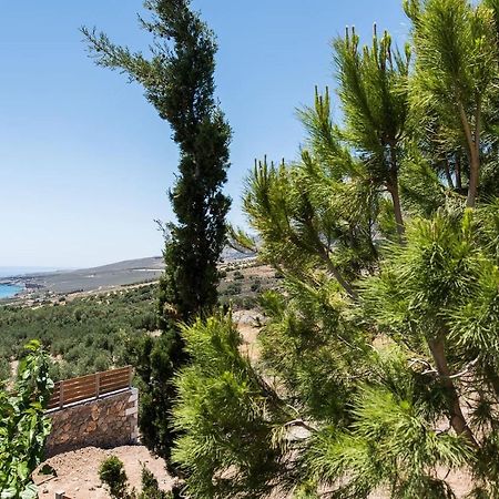 Villa Olvia Dimos Dimos Sfakia Exteriör bild