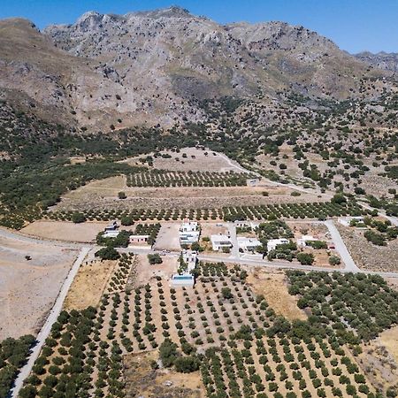 Villa Olvia Dimos Dimos Sfakia Exteriör bild