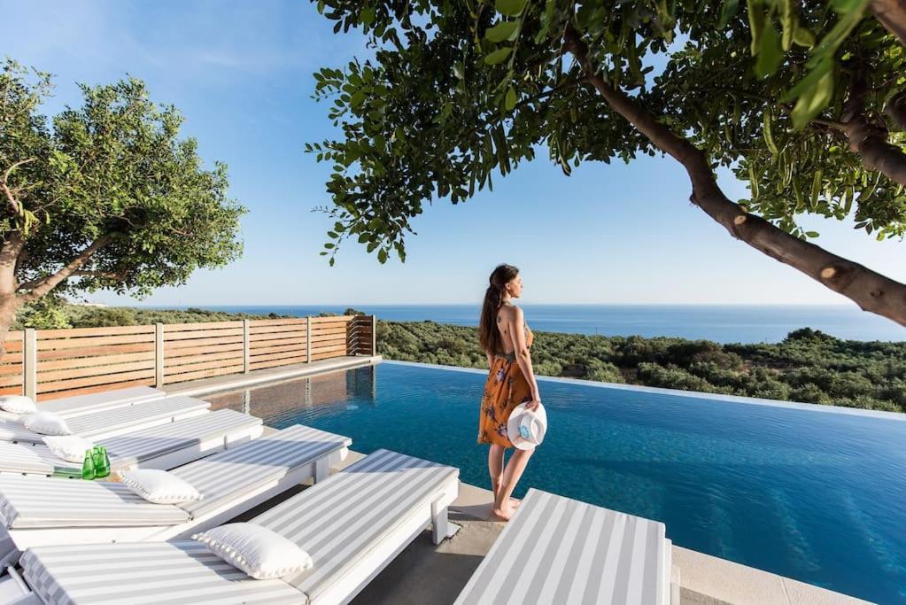 Villa Olvia Dimos Dimos Sfakia Exteriör bild