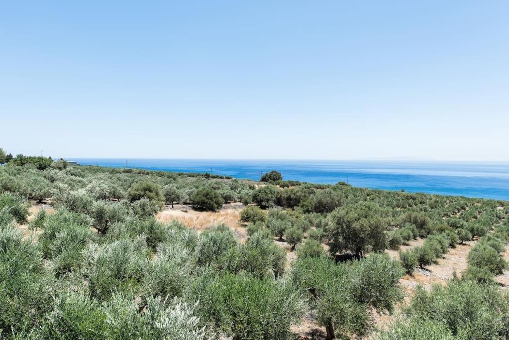 Villa Olvia Dimos Dimos Sfakia Exteriör bild
