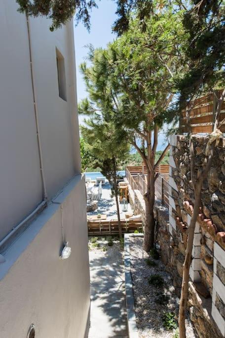 Villa Olvia Dimos Dimos Sfakia Exteriör bild