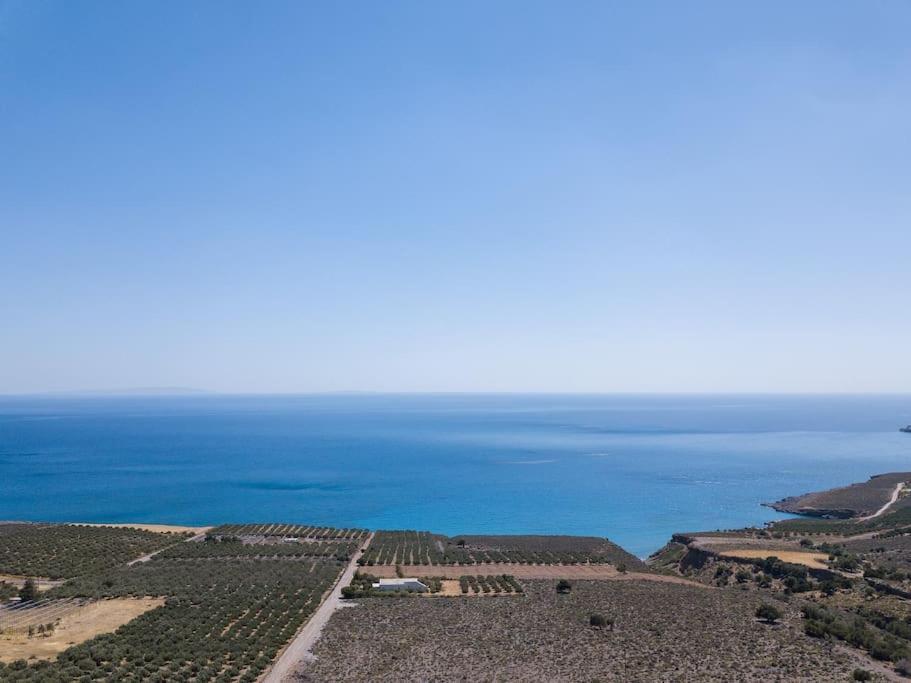 Villa Olvia Dimos Dimos Sfakia Exteriör bild