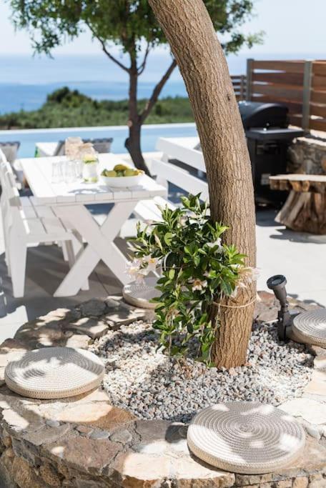 Villa Olvia Dimos Dimos Sfakia Exteriör bild