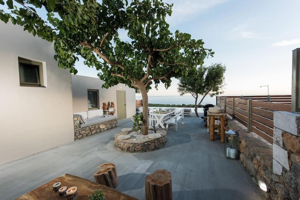 Villa Olvia Dimos Dimos Sfakia Exteriör bild