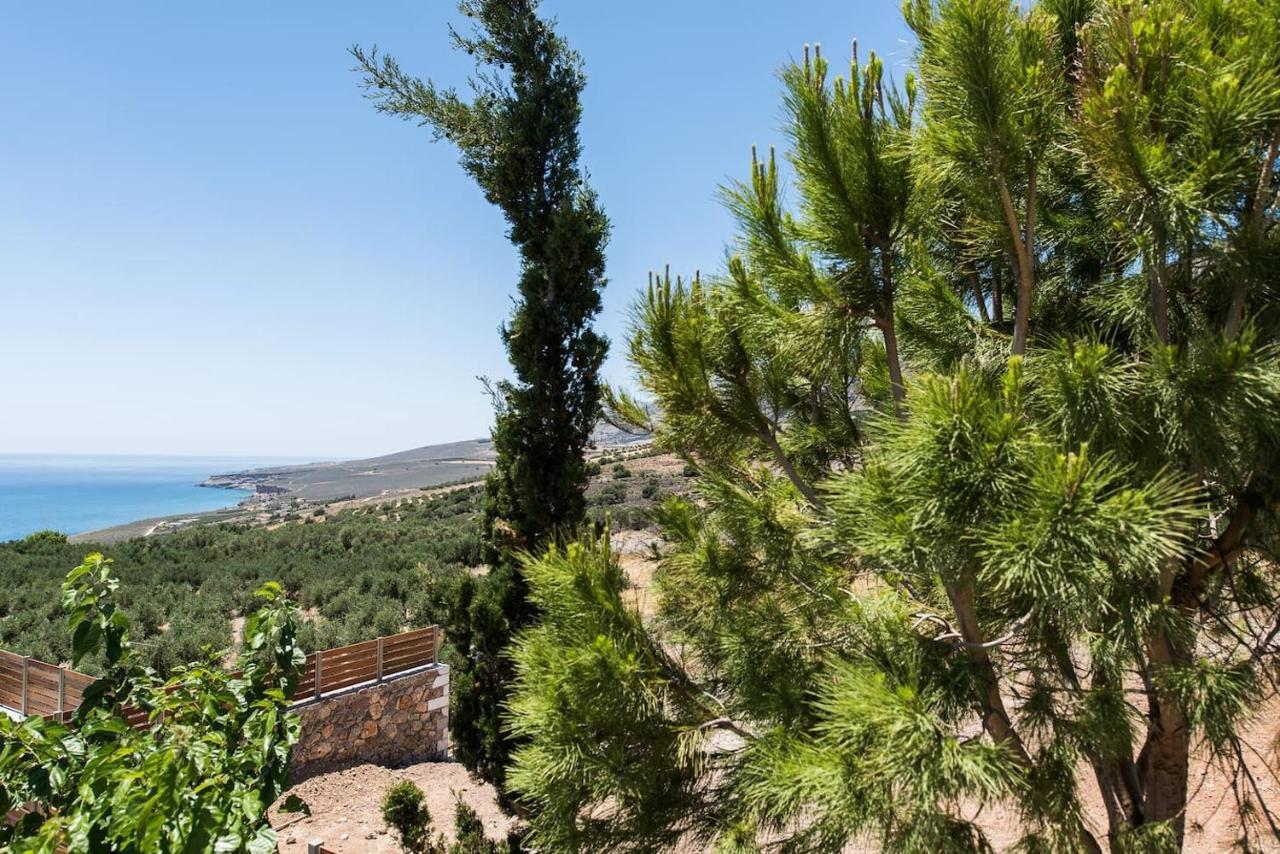 Villa Olvia Dimos Dimos Sfakia Exteriör bild