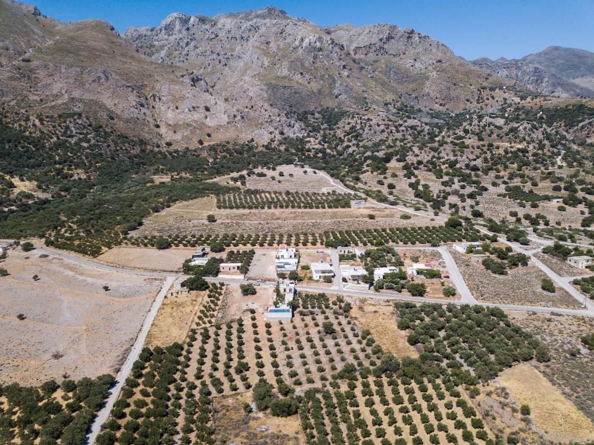 Villa Olvia Dimos Dimos Sfakia Exteriör bild